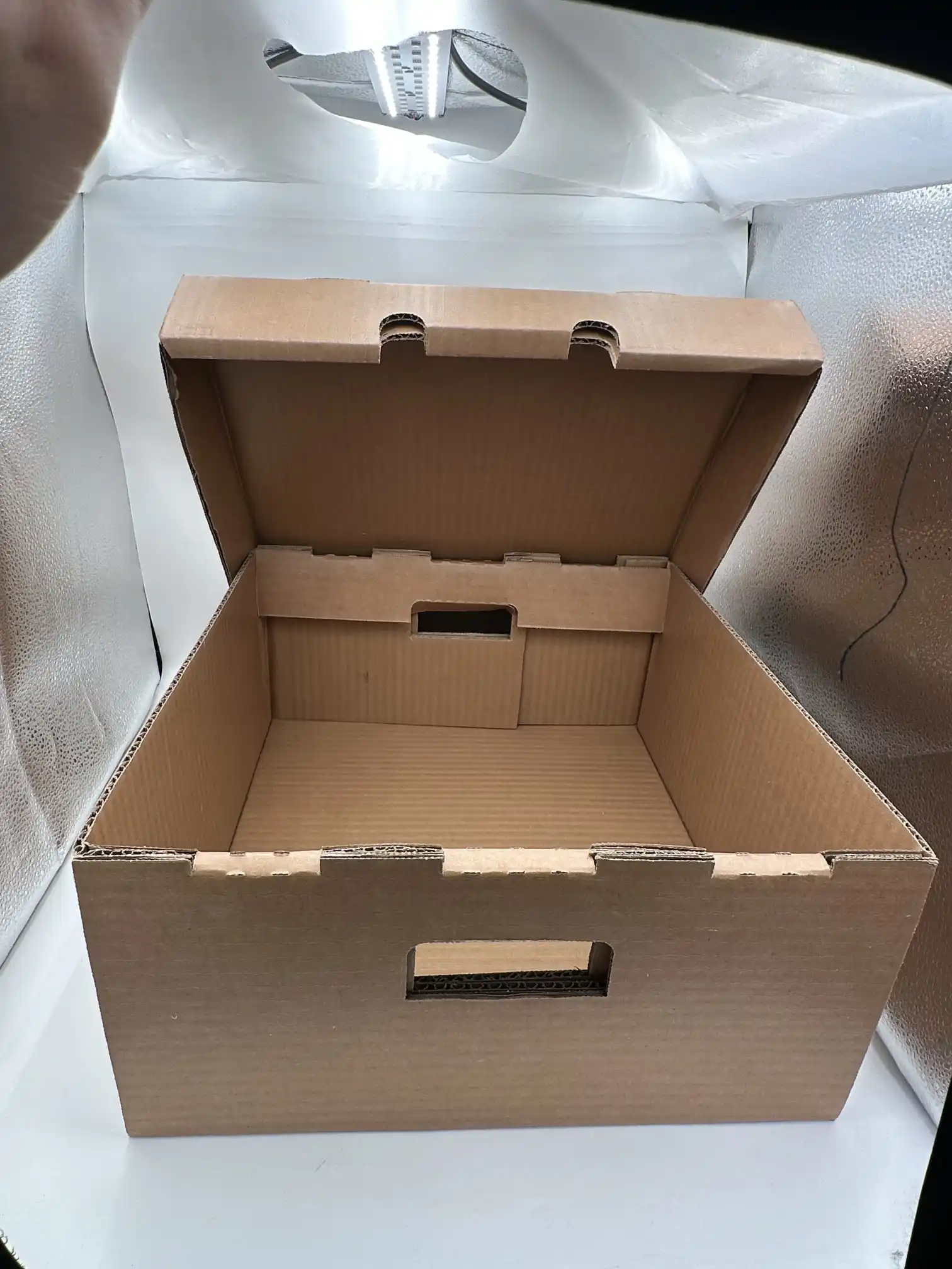 పెద్ద మైనపు ముడతలు పెట్టిన పెట్టె